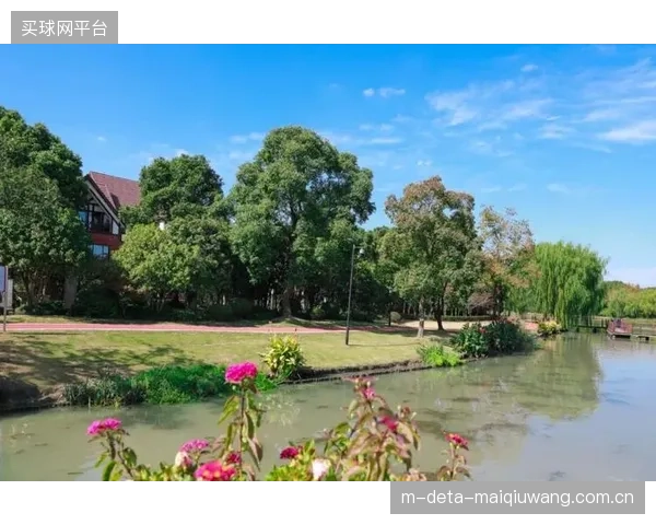 体育小镇的智能步道建设暴露出产业墙：体育部门不懂光伏，能源部门不解风情
